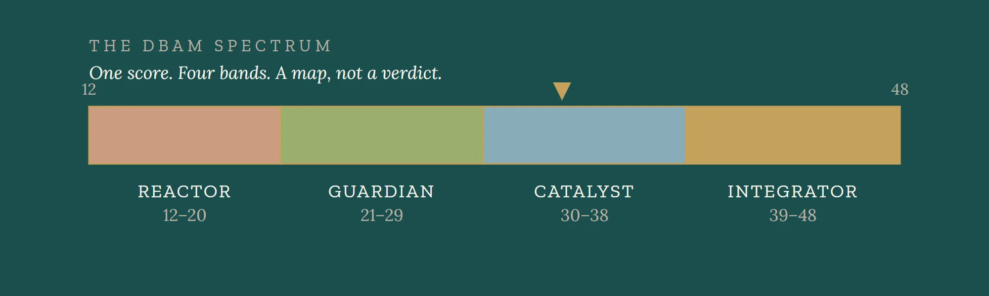 The DBAM Spectrum: one score from 12 to 48 across four bands - Reactor, Guardian, Catalyst, Integrator.