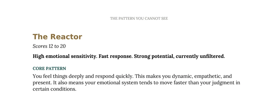 The opening of the Reactor profile: scores 12 to 20, its one-line summary, and its core pattern.
